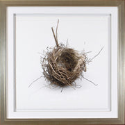 Simply Nests I