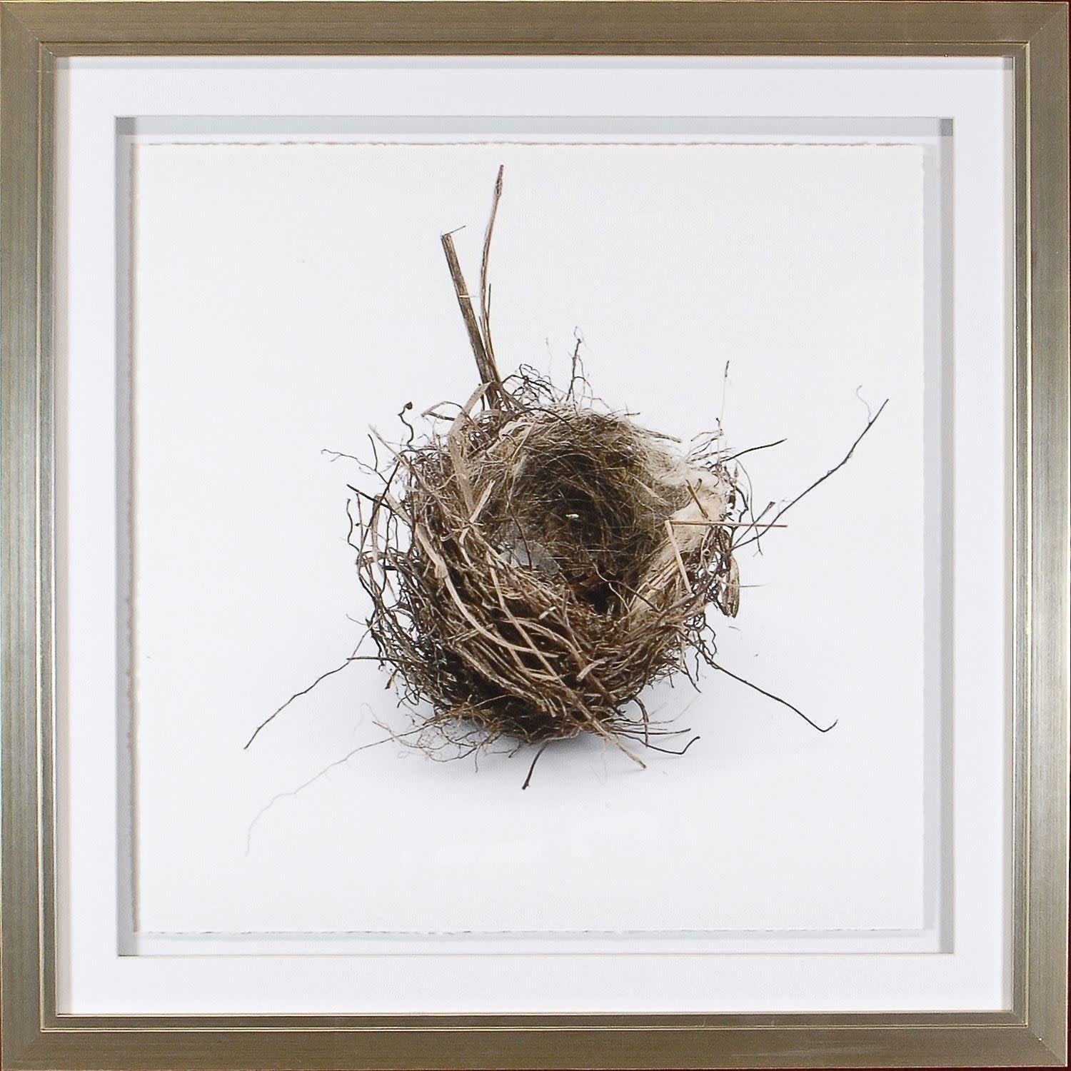 Simply Nests I