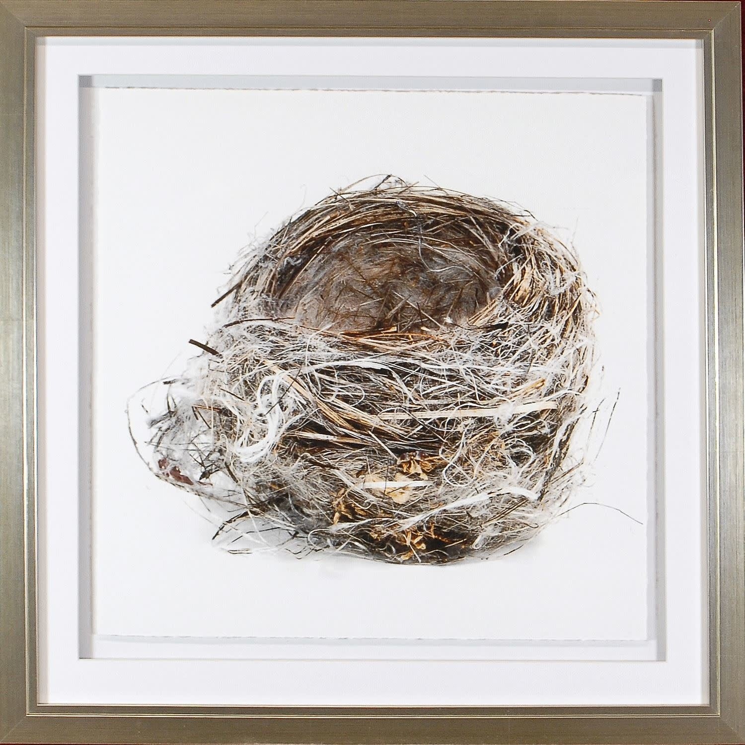 Simply Nests II