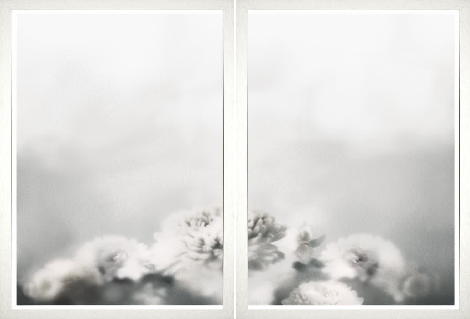 Romanced Peonies Diptych