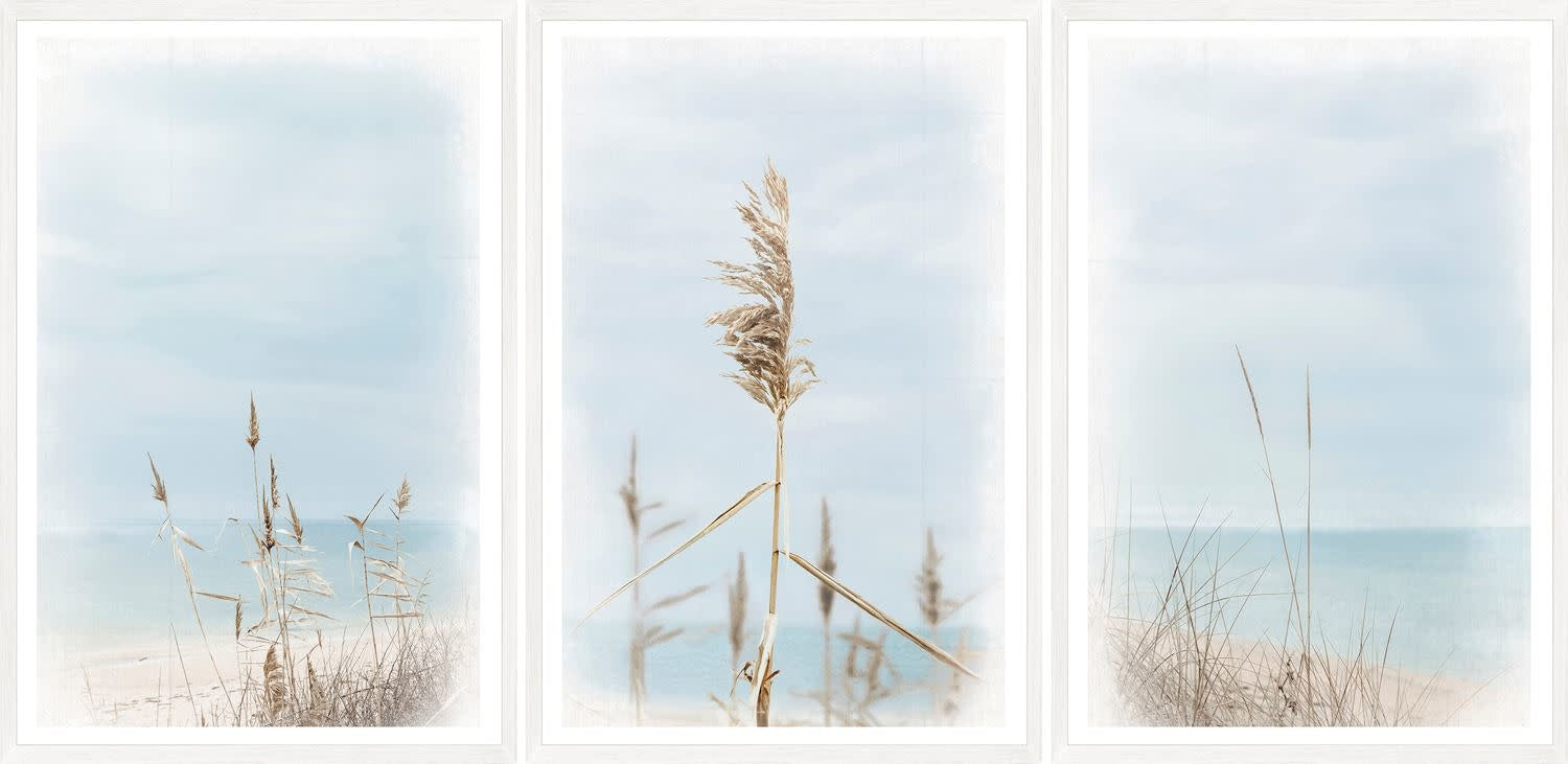 Dune Grass Triptych