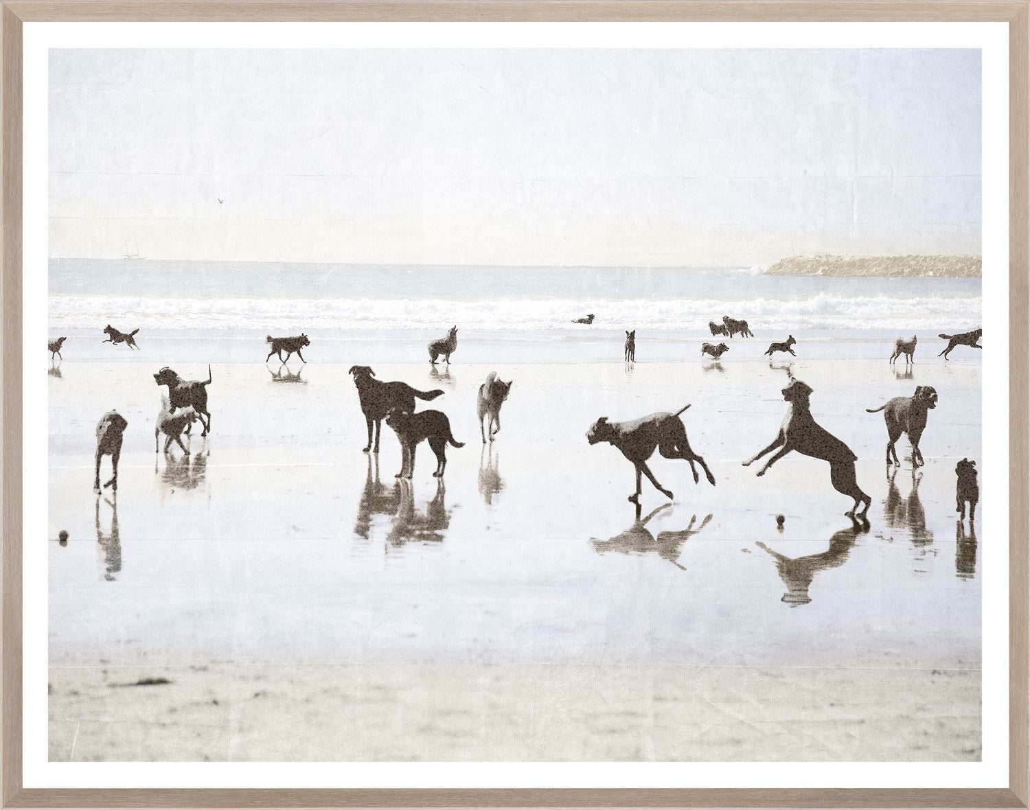 CA - Dogs Day at the Beach - Large