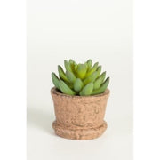 Potted Succulent - Rust