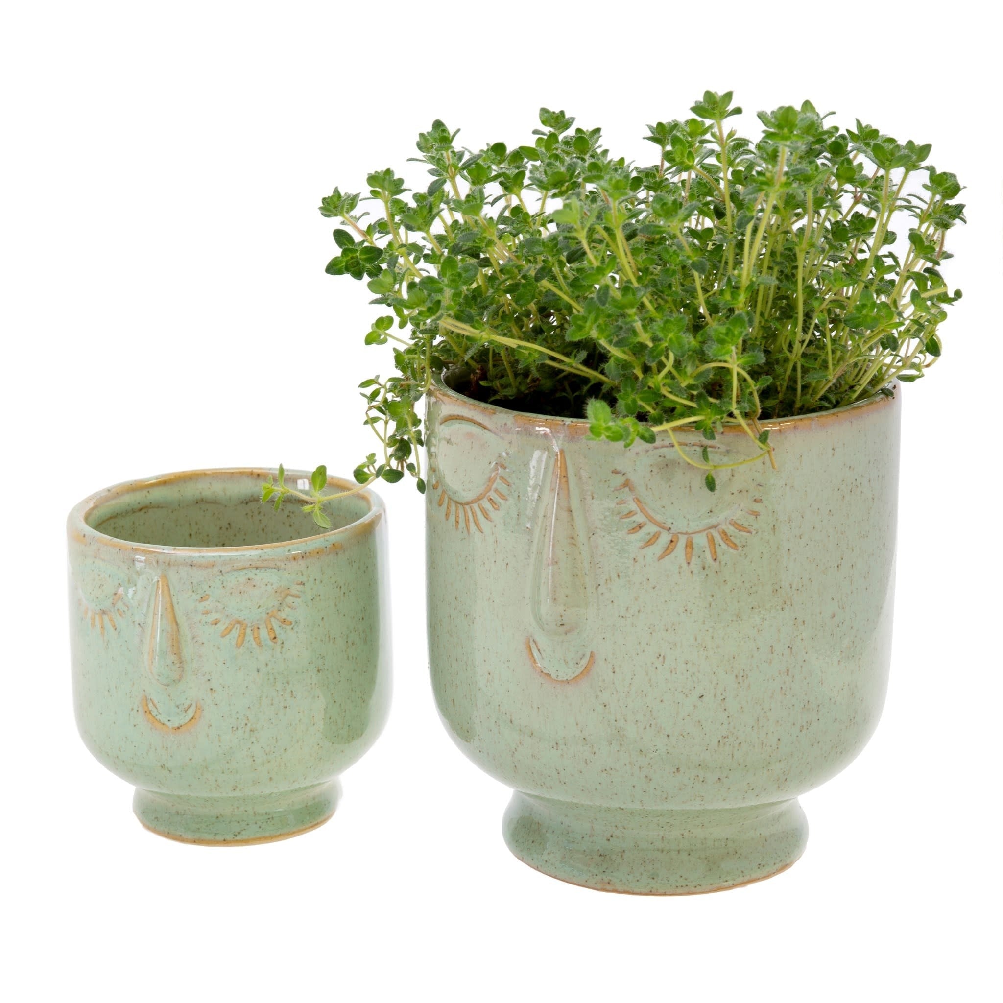 Friendly Face Pot - Moss - Large