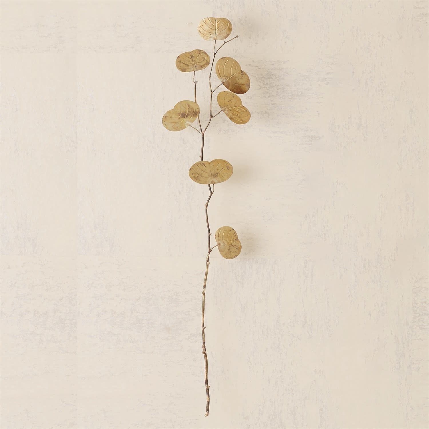 Eucalyptus Wall Decor