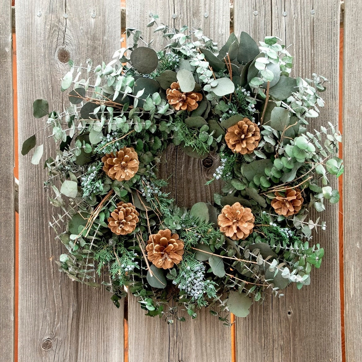 EUCALYPTUS, JUNIPER & PINECONE WREATH 20"