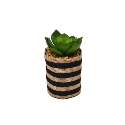 Succulent Jute Pot - Stripes