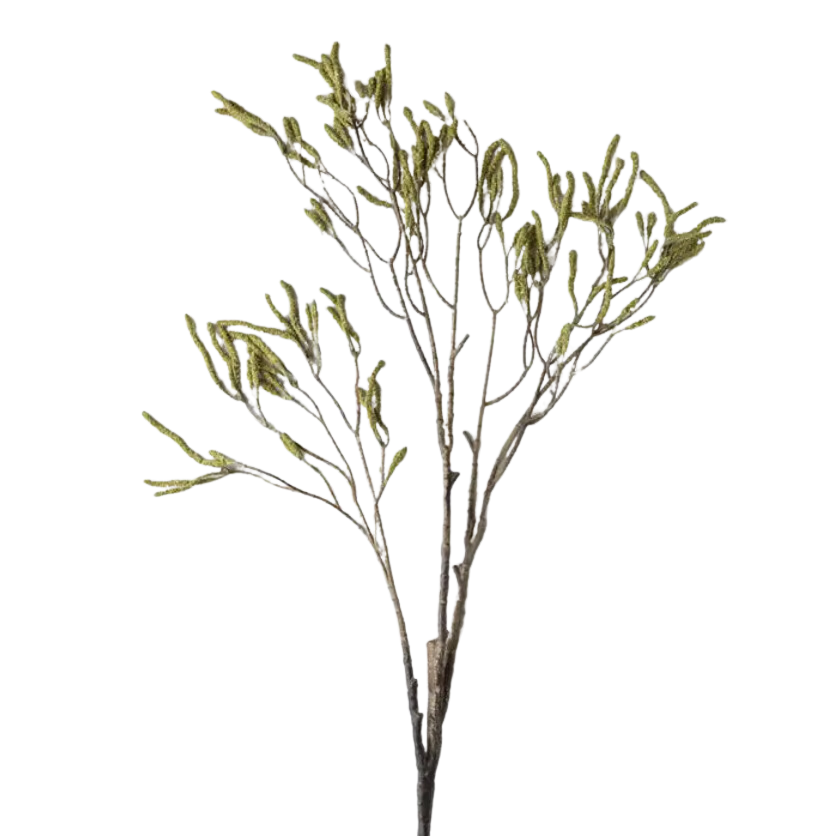 Catkin Branch Green Stem