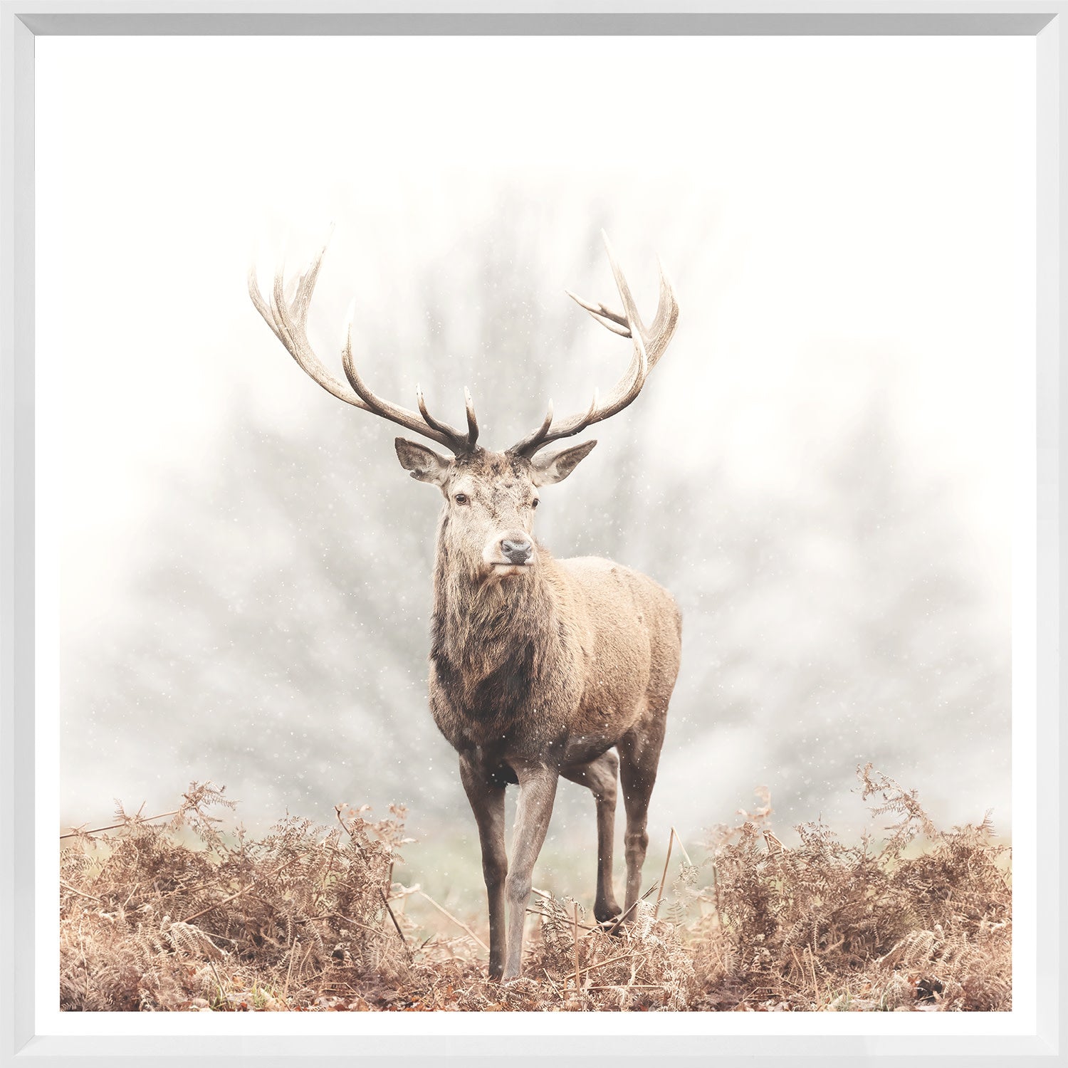 Red Deer Stag - Mini - White