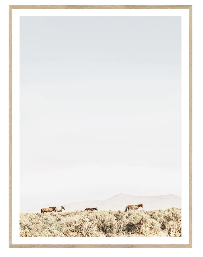 Sage Ridge, Horses - Medium