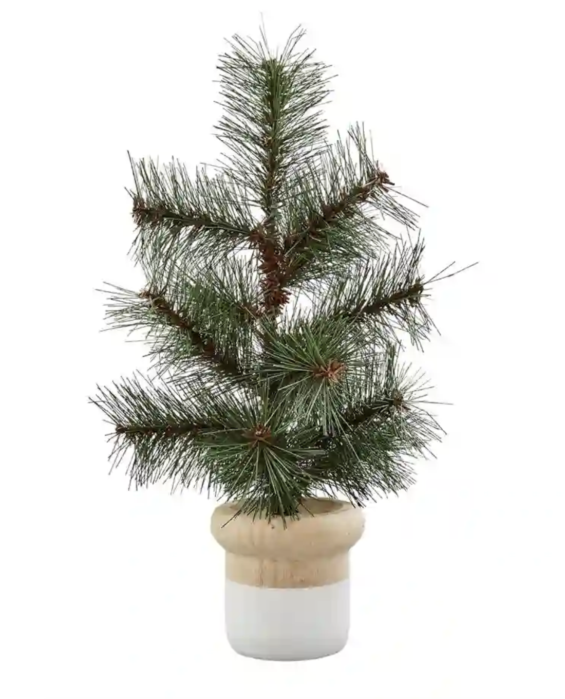 Potted Pine Tree - Colour Block