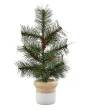 Potted Pine Tree - Colour Block
