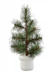 Potted Pine Tree - White
