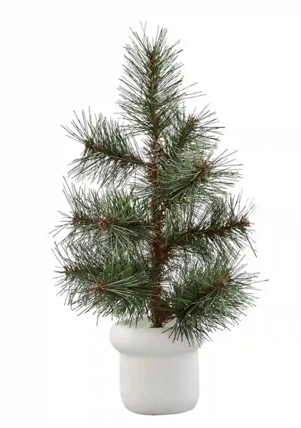 Potted Pine Tree - White
