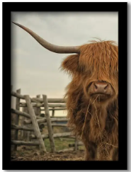 Southwest Shapes - Yak