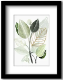 Southwest Shapes - Leaves