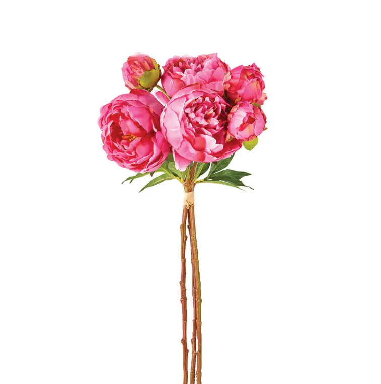 Pink Peonies, Bundle of 3