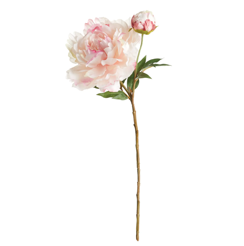 Peony Stem - Pink - 21"