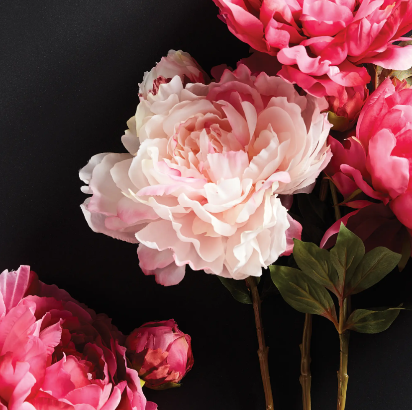 Peony Stem - Pink - 21"