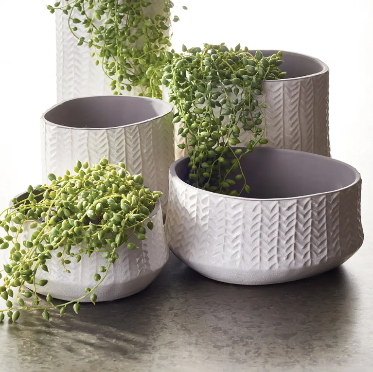 Frasier Low Plant Pot - Small
