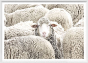 Modern Farm - One in the Crowd - Mini - White