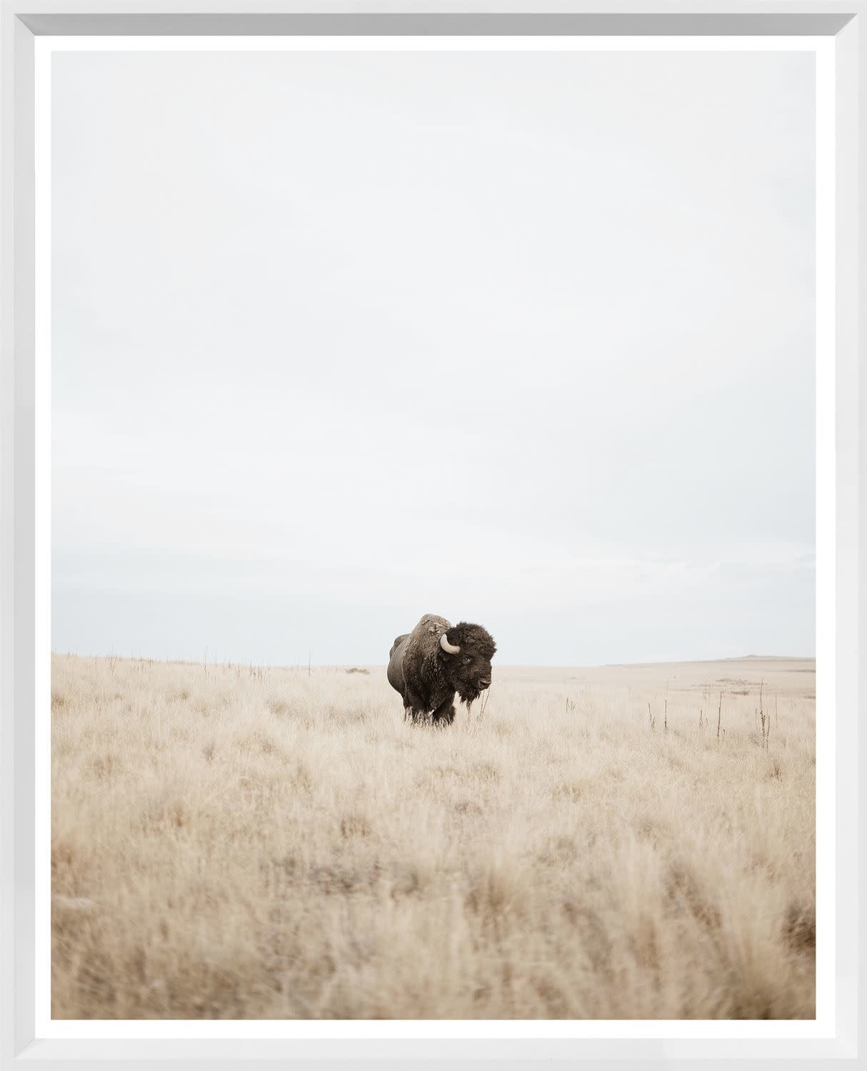 Modern Farm - Great Plains Denizen