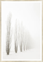 Taupe Aspect I - Large