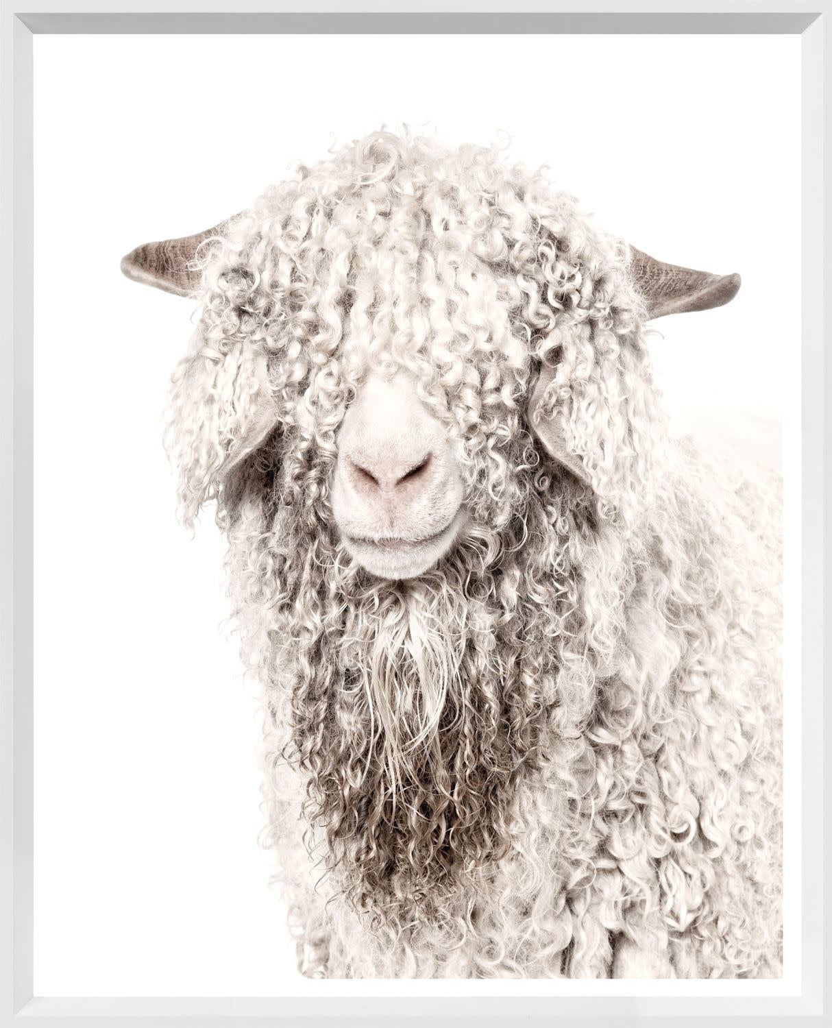 Modern Farm - Angora Goat - Mini - White