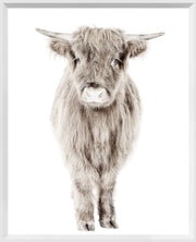Modern Farm - Highland Calf - Mini