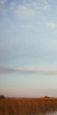 Late Summer Daydream I