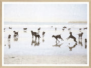Dogs Day at the Beach - Small