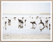 CA - Dogs Day at the Beach - Large
