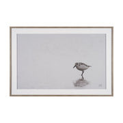 Tybee Island Sanderling by Nathan Larson a Hand Embellished Framed Photo Print under Glass