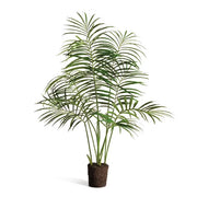 Palm Tree Drop-In