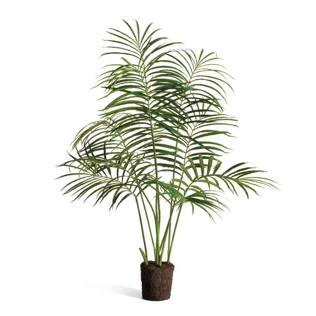 Palm Tree Drop-In