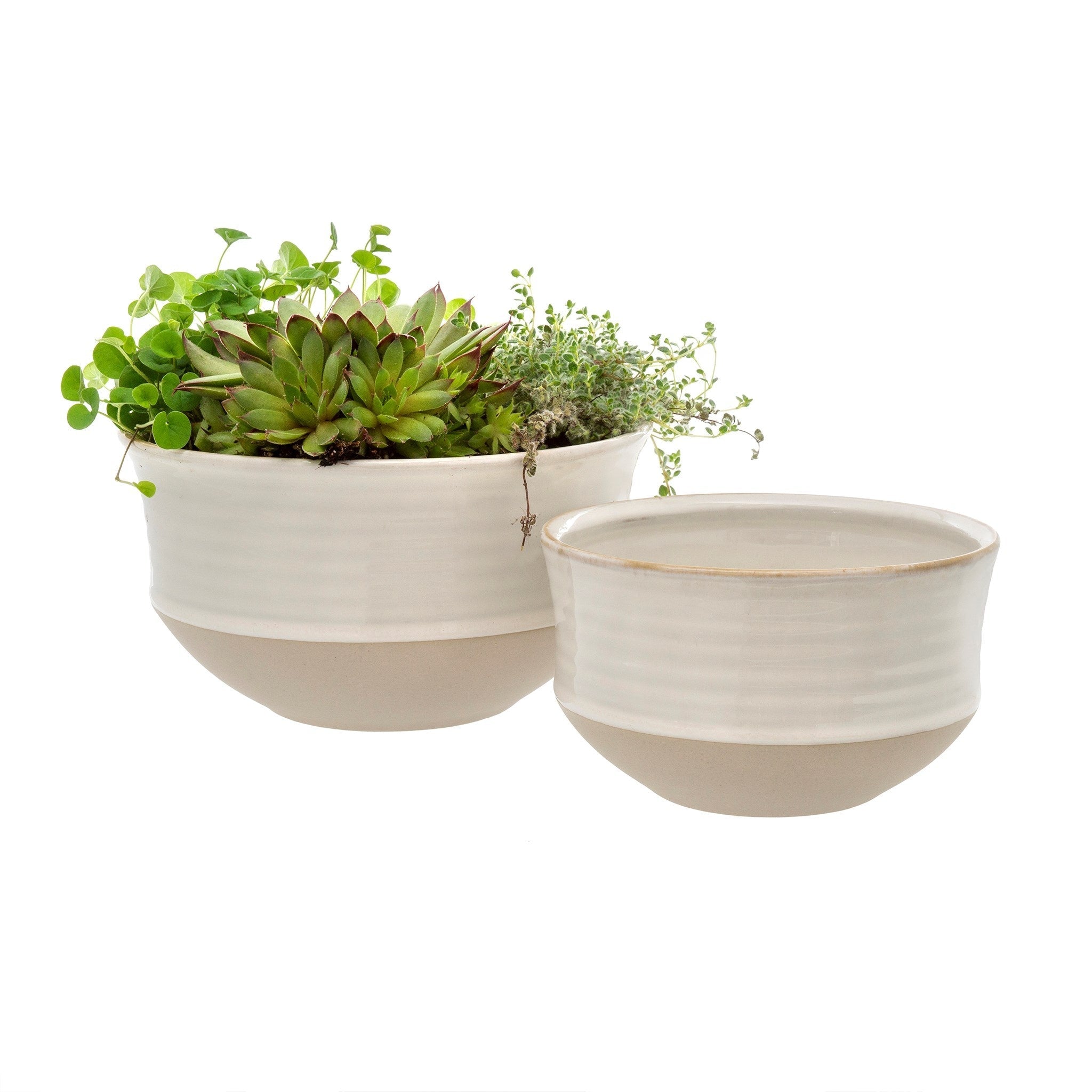 High Tide Bowl - Large