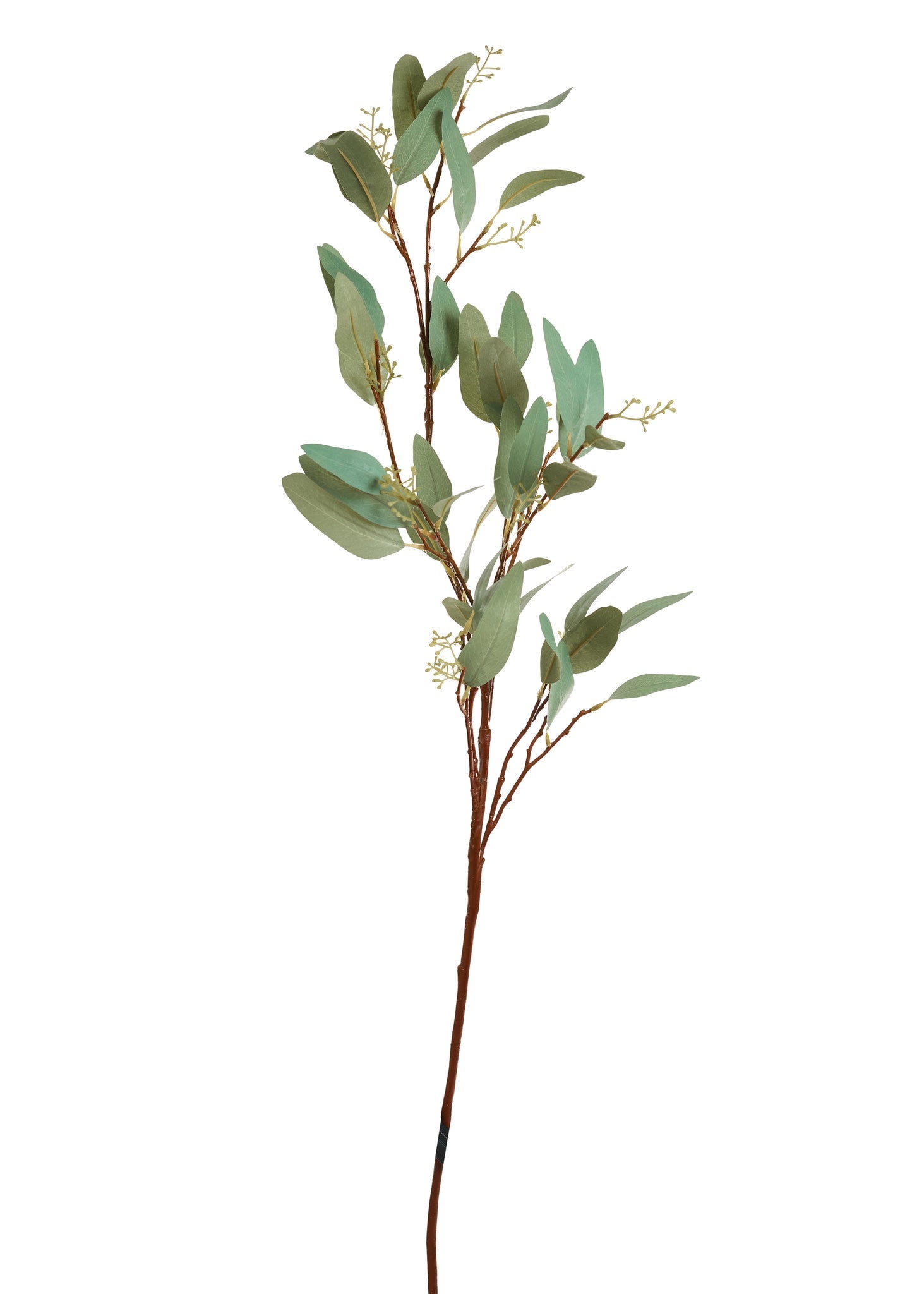 Leaf and Seed Spray