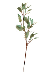 Leaf and Seed Spray