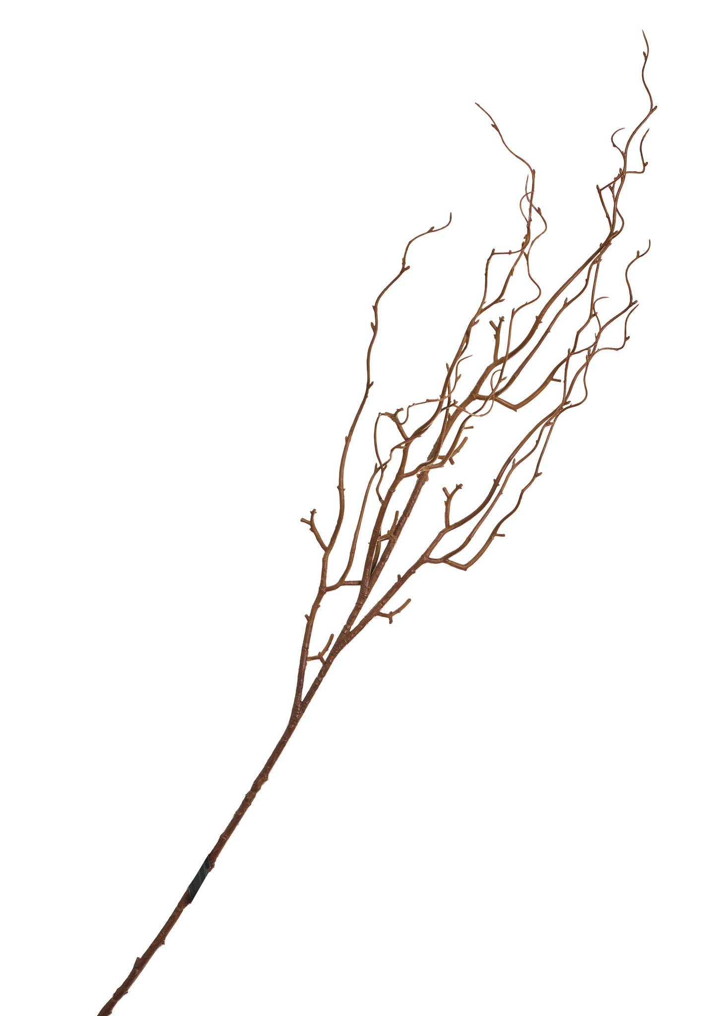 Willow Spray