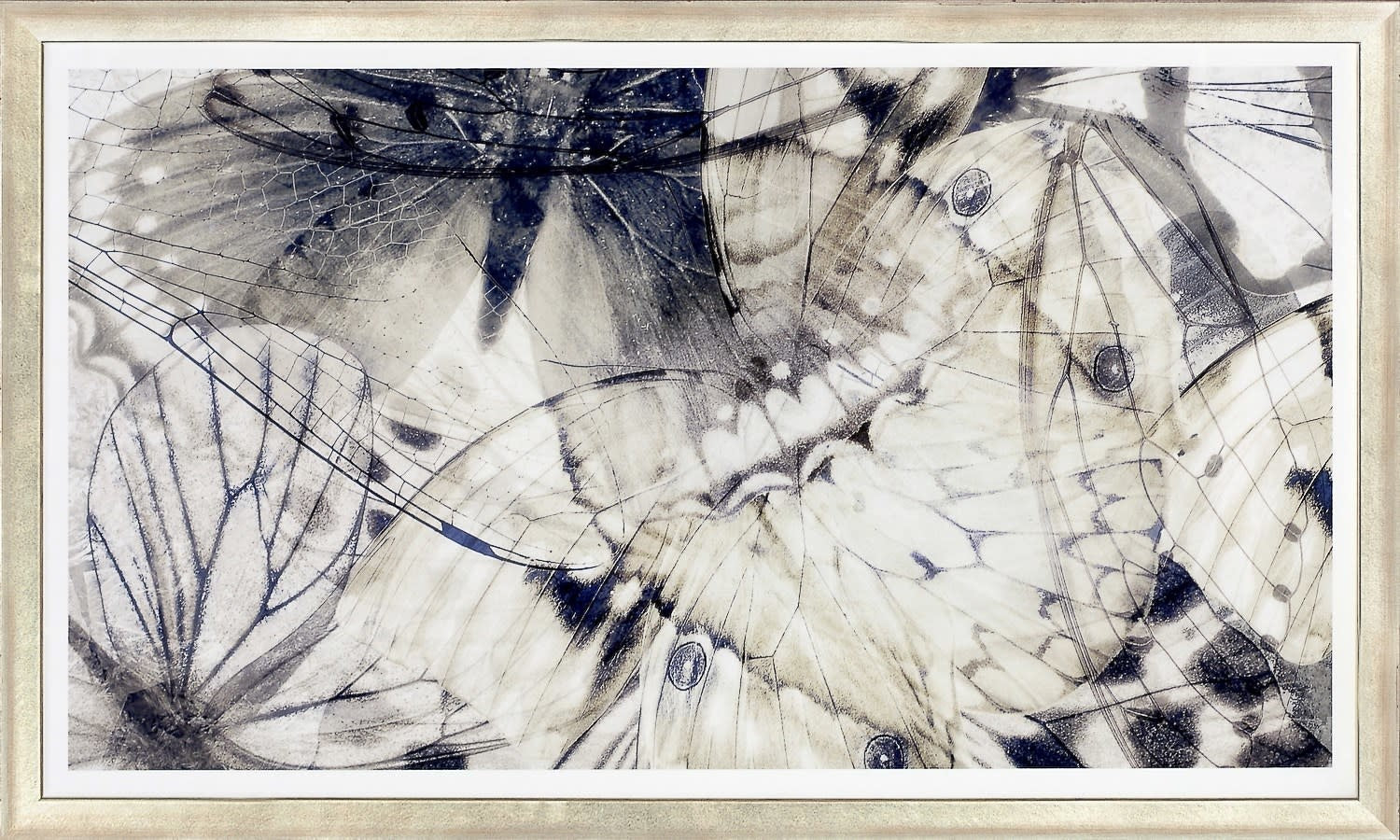 Butterfly Shimmer II
