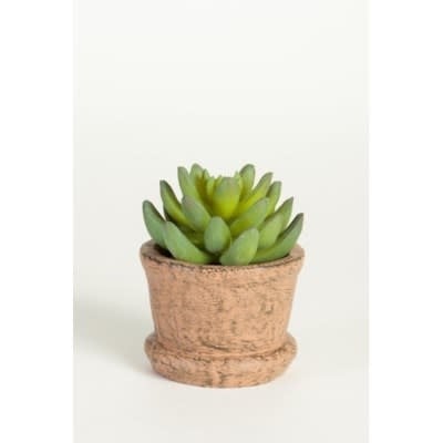 Potted Succulent - Rust
