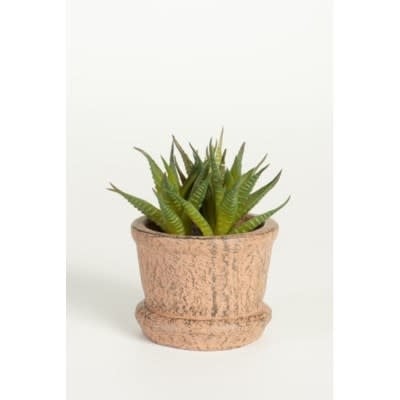 Potted Succulent - Rust