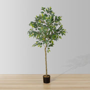 Figgi Artificial Ficus Tree Potted Plant (Multiple Sizes)