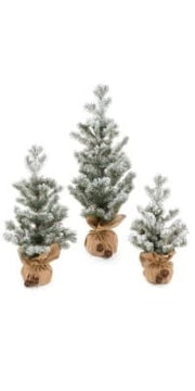 Tree w/Burlap Base, Medium