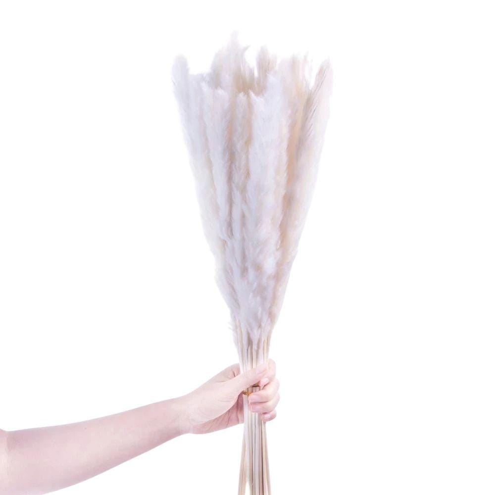 Beige Pampas Bouquet 26'' (Set Of 30)