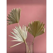 Fan Palm - Natural