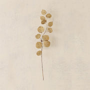 Eucalyptus Wall Decor - Antique Brass - Large