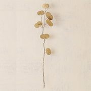 Eucalyptus Wall Decor