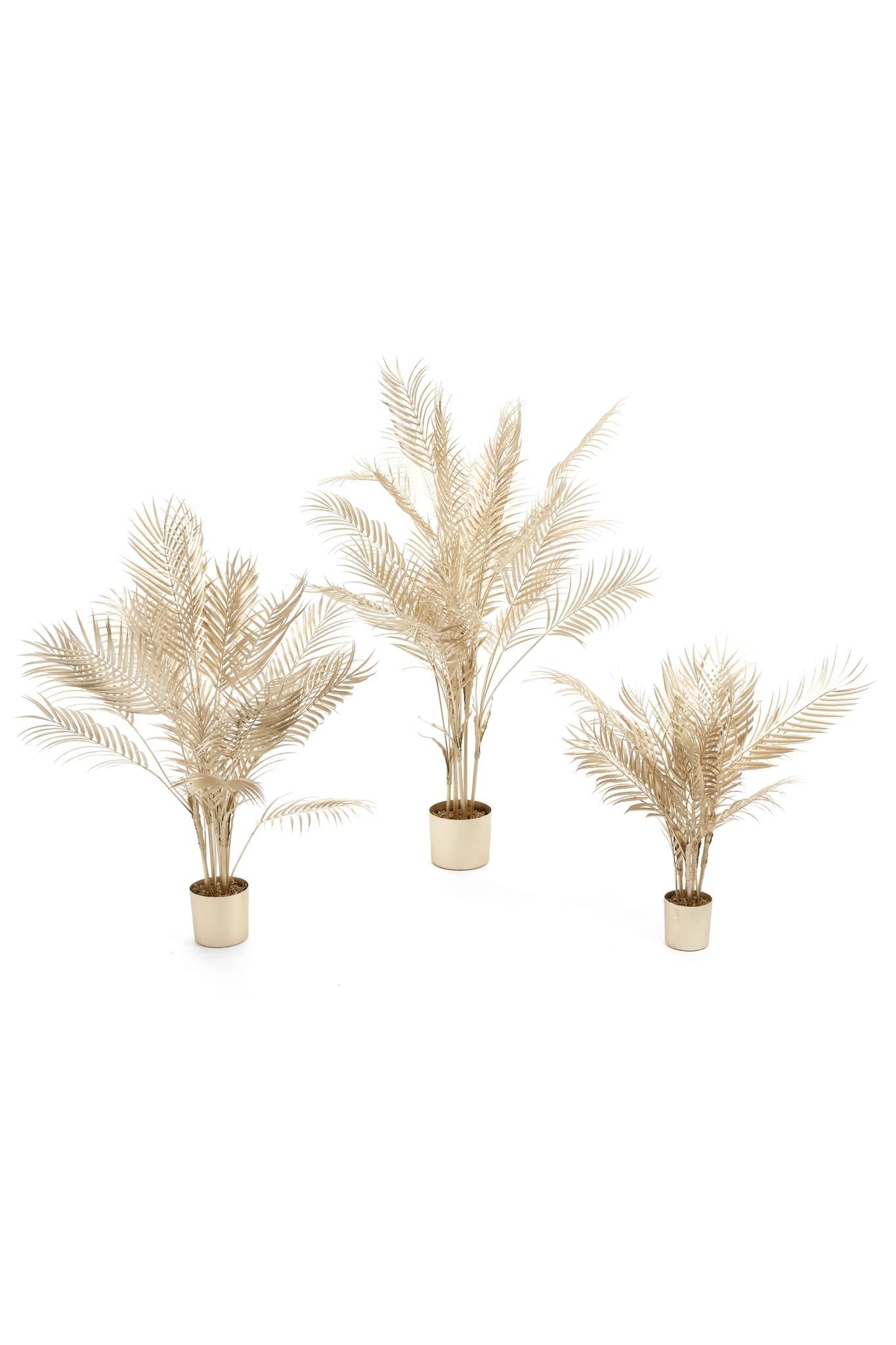PALM TREE GOLD W/POT 27.5"H