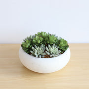 Zed Faux Succulent Arrangement in Low White Pot 7.1"